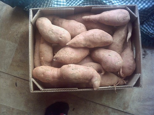 Sweet Potatoes