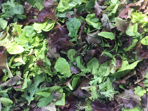 Deluxe Salad Mix