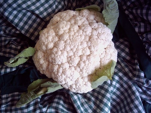 Cauliflower