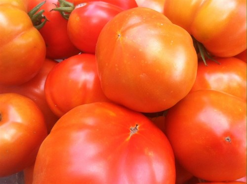 Slicing Tomatoes