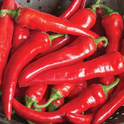 Cayenne Peppers