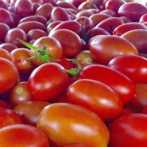 Tomatoes, Juliet