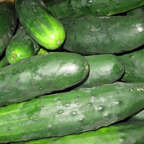 Cucumbers