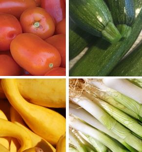 Best of the Farm Bag