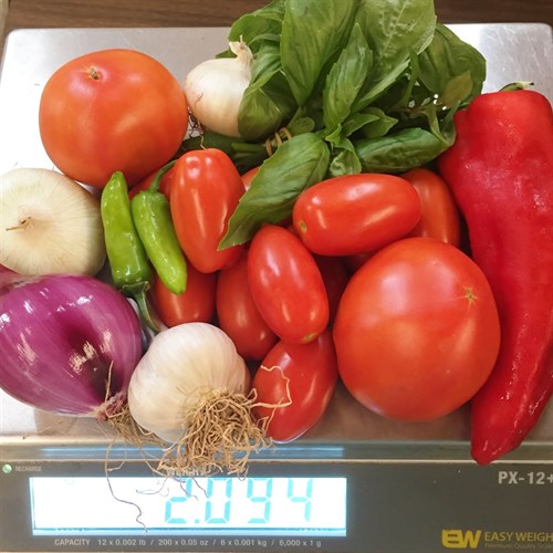 A Salsa Pack
