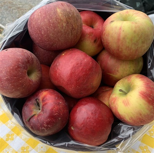 *Special: Applesauce Mix Apples