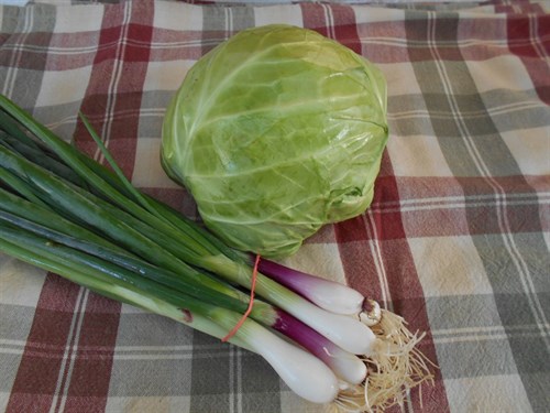 Cabbage, Green ball type