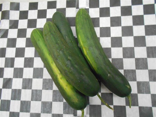 Cucumbers