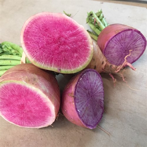 Specialty Radishes