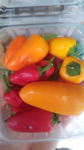 Peppers- Lunch Box