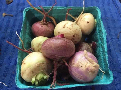 Mixed Turnips