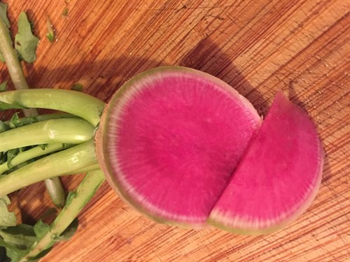 Watermelon radishes