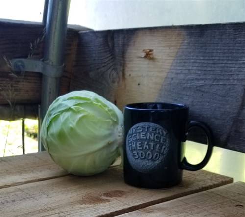 Cabbage, green