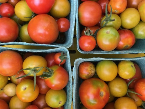 Cherry Tomato Mix