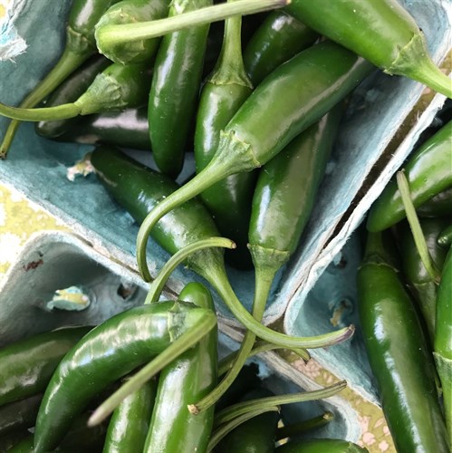 Serrano Peppers