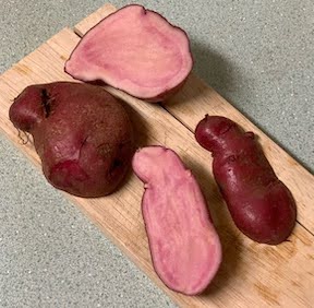 Fingerling Potato-(Amarosa)