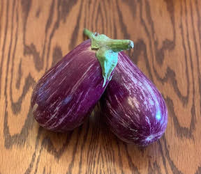Eggplant- Annina