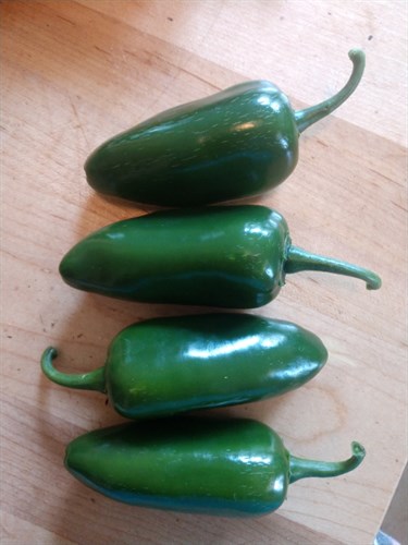 Jalapenos