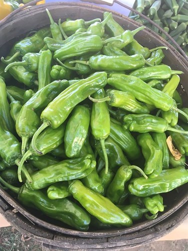 Shishito Peppers