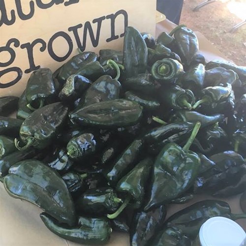 Poblano Peppers