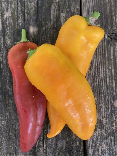 Peppers, mixed sweet