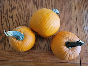 Squash- Pie Pumpkin 3-3.5LB