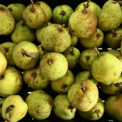 Pears Kieffer