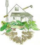 Donate Leaf Lettuce from Manakintowne/VA Growers