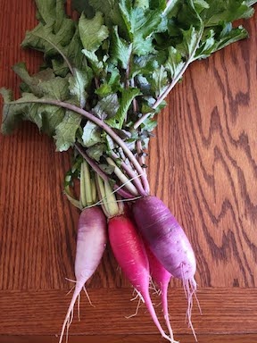 Radish- DaikonMix