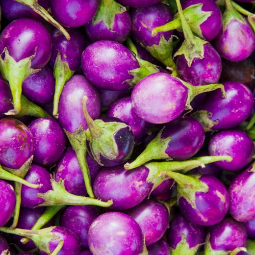 Eggplant