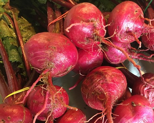 Red Turnips