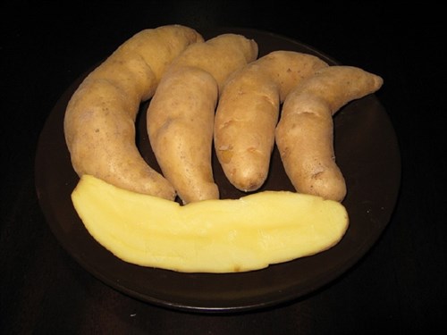 Fingerling Potato- Austrian Crescent