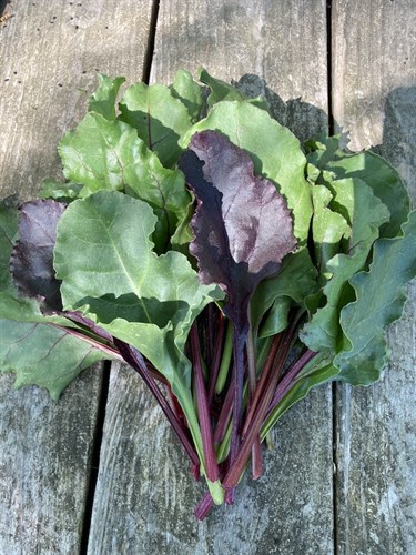 Beet greens