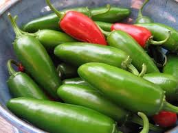 Plants, Pepper - Jalapeno
