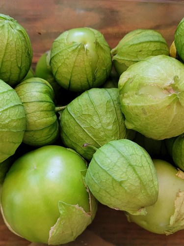 Tomatillos- 1 pint