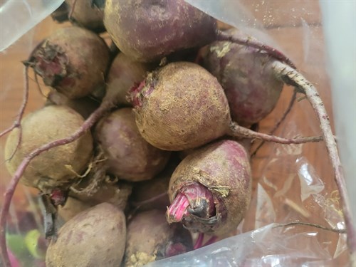 Beets - Baby