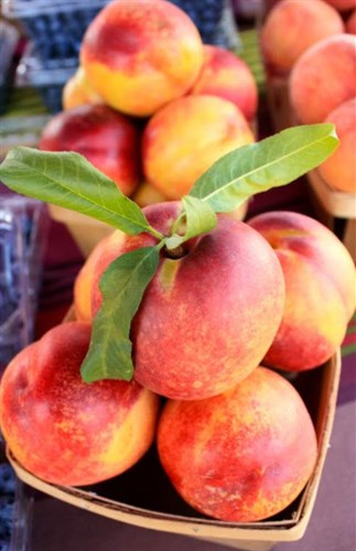 Yellow Nectarines