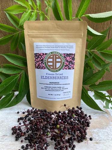 Freeze Dried Elderberries - 1 oz