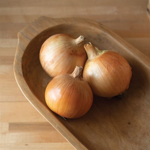 Onion- Yellow