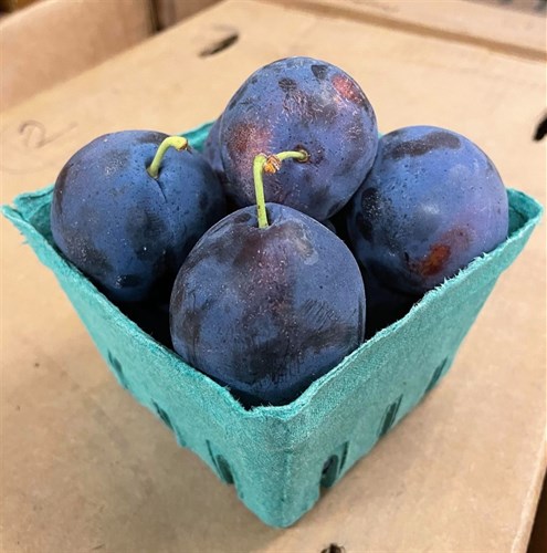 Plums: Italian Prune