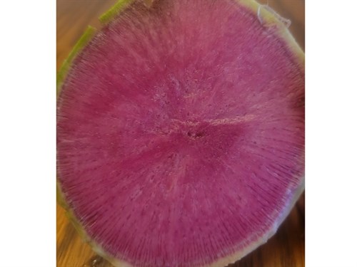 Radish- Watermelon 1.5LB