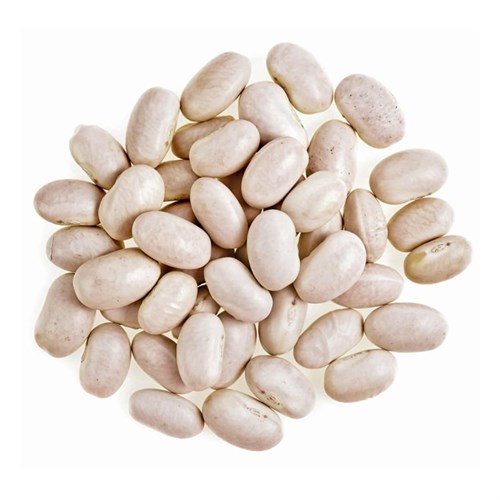 Beans, Great Northern, Organic