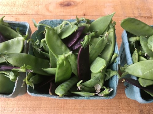 Snow Peas