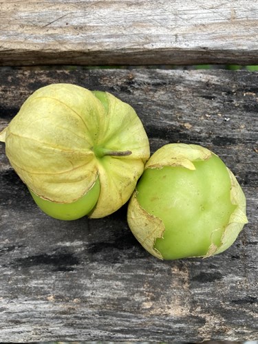 Tomatillos