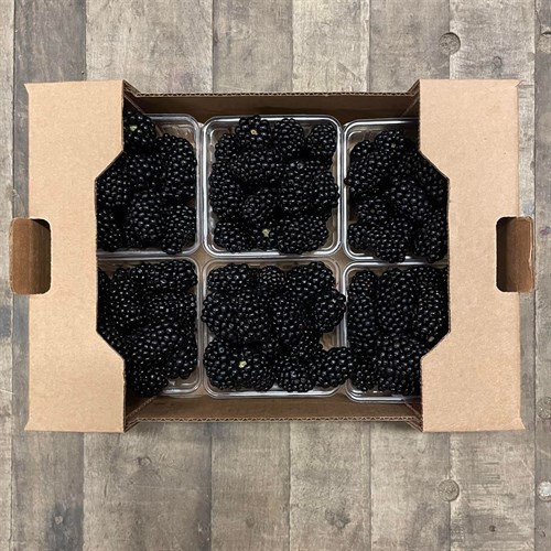 Berries: Blackberries - 6pk