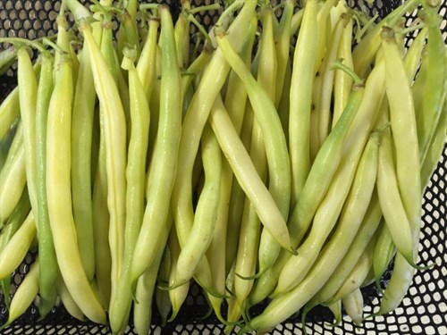 Filet beans, yellow