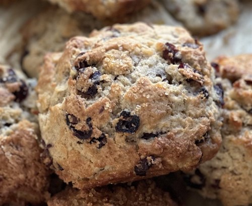 Scones-Cranberry Orange