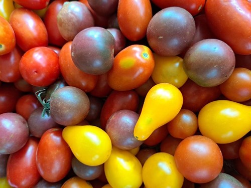 Tomatoes, Mixed Cherry