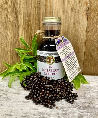 Elderberry Extract - 8 fl. oz.
