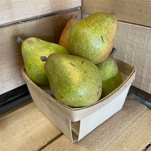Pear: Magness